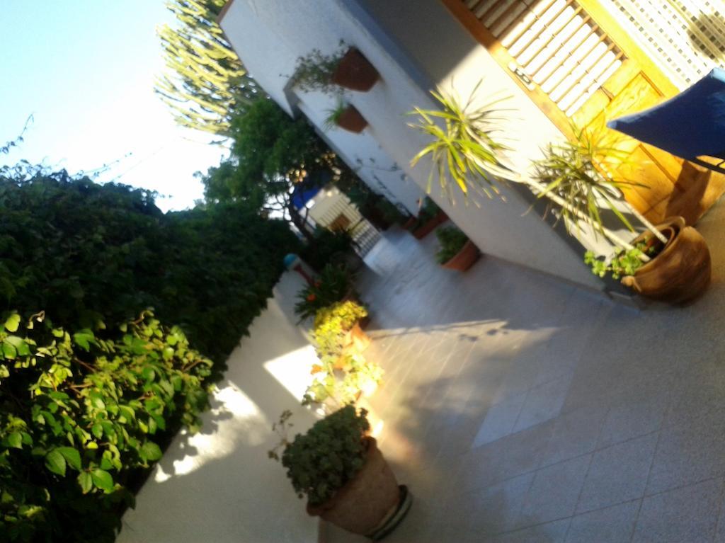 B&B Il Girasole Ното Екстериор снимка