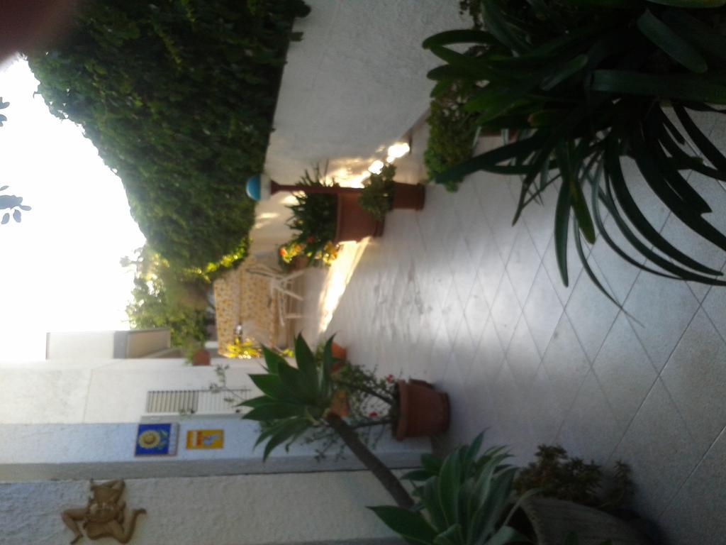 B&B Il Girasole Ното Екстериор снимка