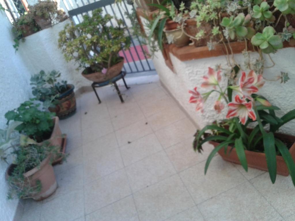 B&B Il Girasole Ното Екстериор снимка